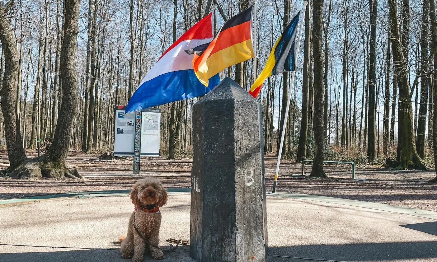 Dreiländereck mit Hund