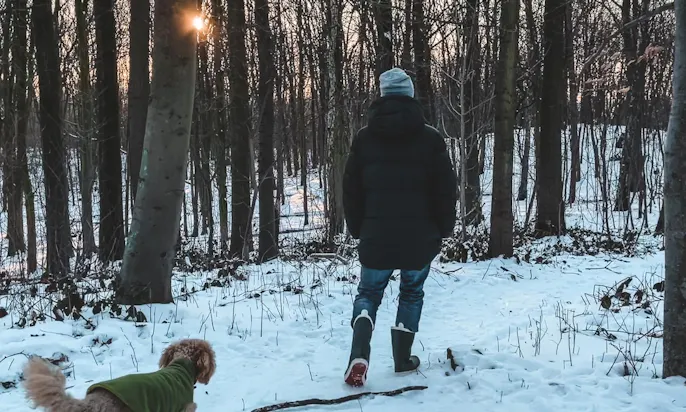 Wald Düsseldorf mit Hund