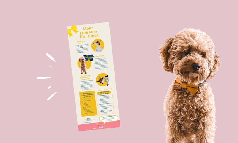 Mehr Freiraum für Hunde: Gelber Hund Infografik
