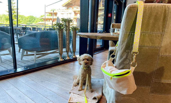 Passende Bauchtasche zur Hundeleine und Hundehalsband von Hundeklunker: Vegan und Stylisch für den Sommer in Neonfarbe