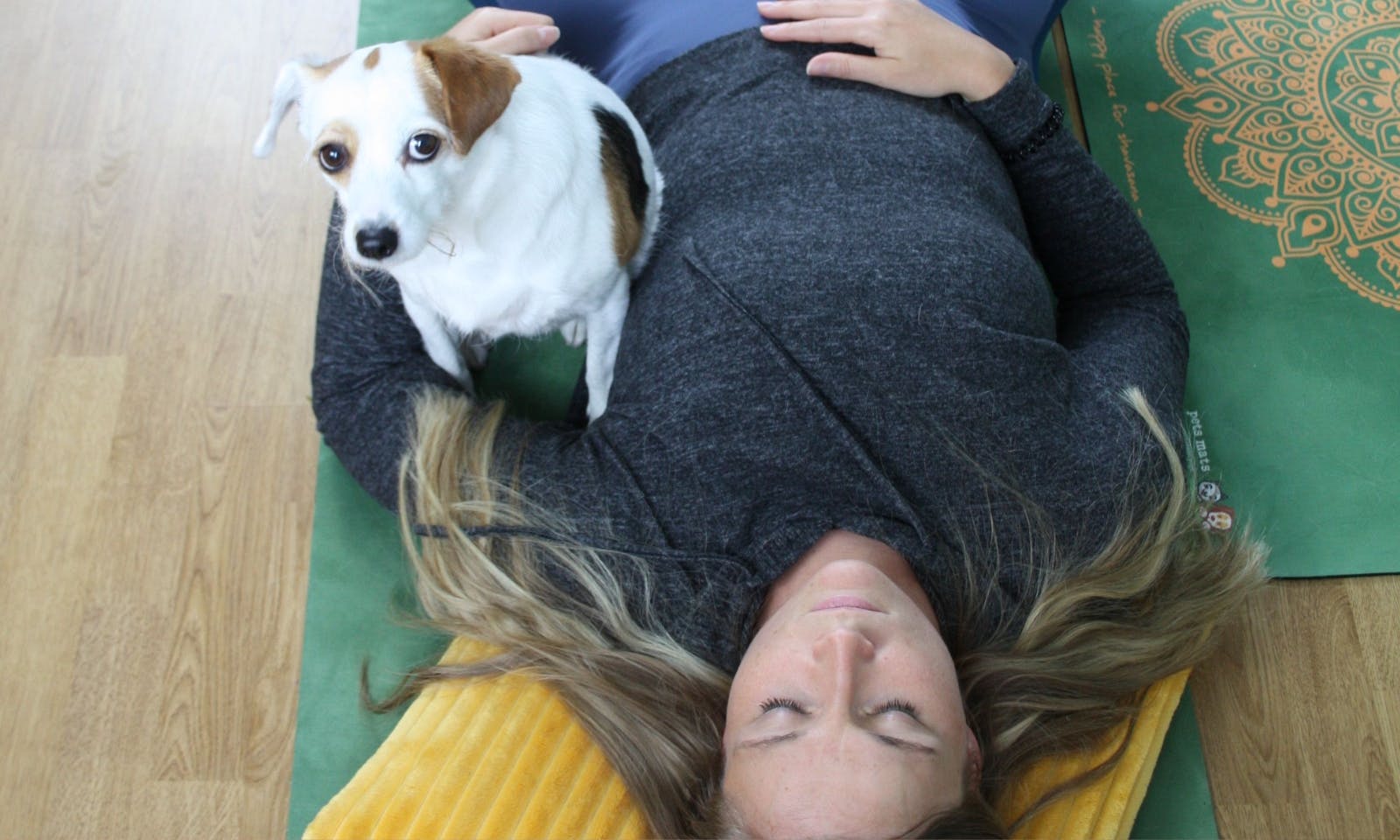Doga ist Yoga mit Hund