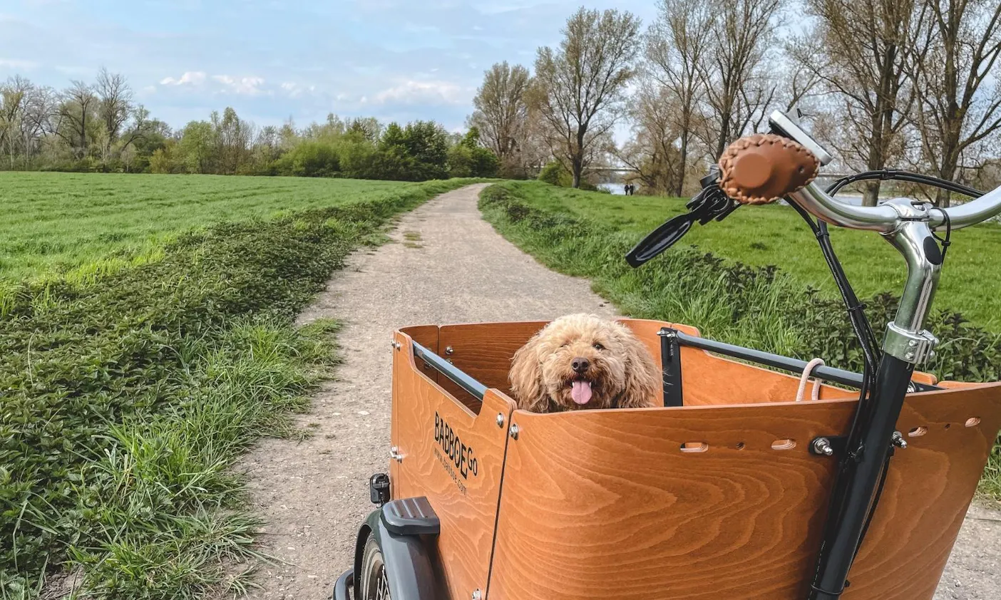 Unterwegs in Düsseldorf mit Hund und Rad