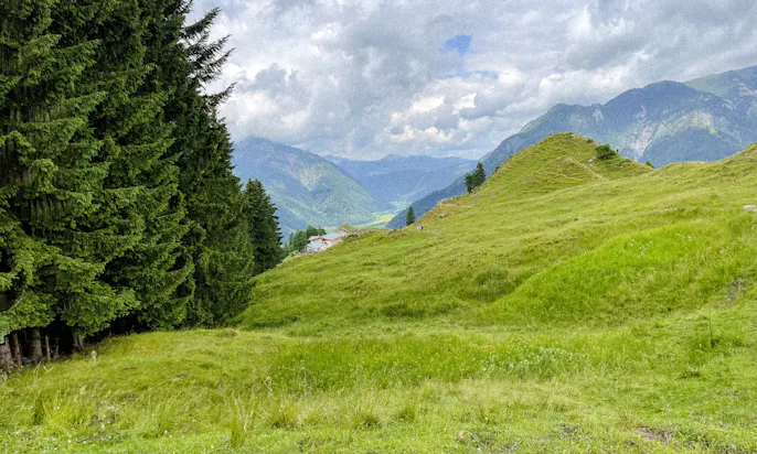 wandern mit Hund in den Kitzbüheler Alpen in Tirol