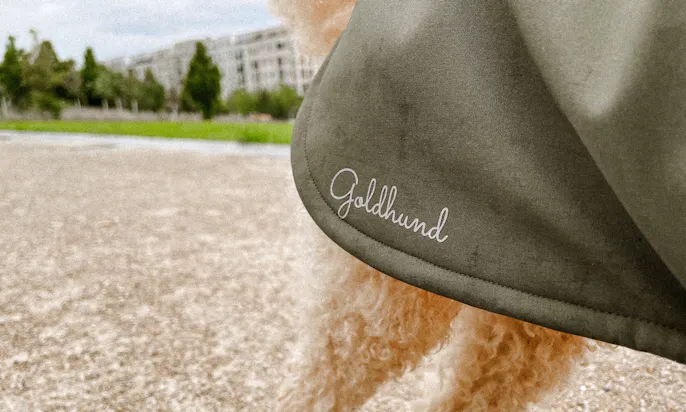 Goldendoodle in einem maßgeschneiderten Hundemantel von Goldhund