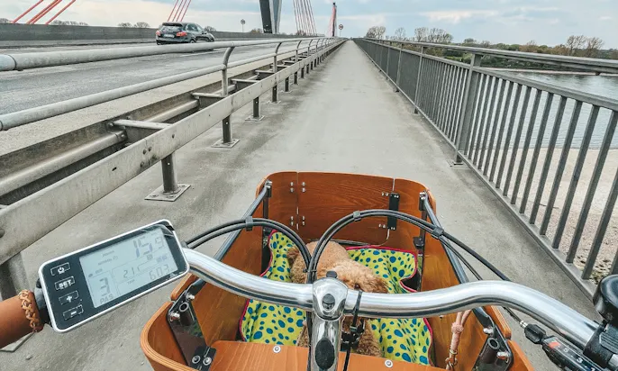 Urlaub mit Lastenrad und Hund