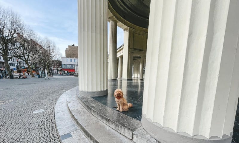 Elisenbrunnen in Aachen mit Hund