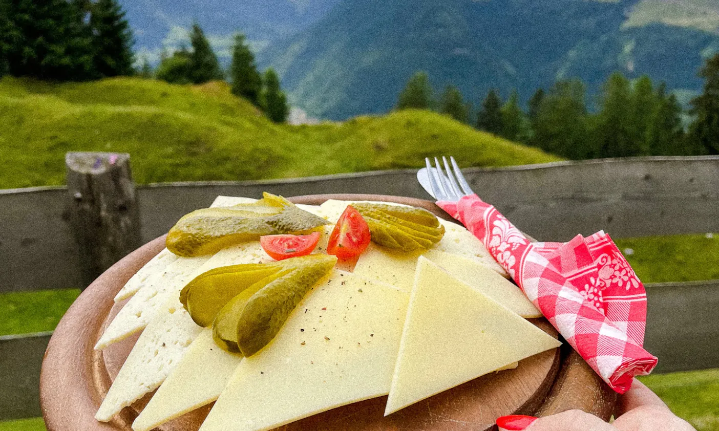 Hundefreundliche Alm Huberalm in den Kitzbüheler Alpen