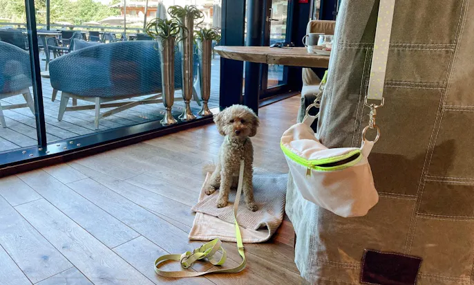 Restaurant Kaisers Deli im Hotel mit Hund