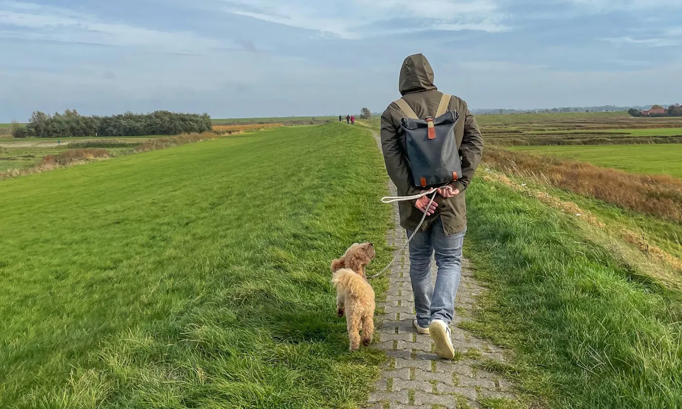 Wandern mit Hund in Greetsiel