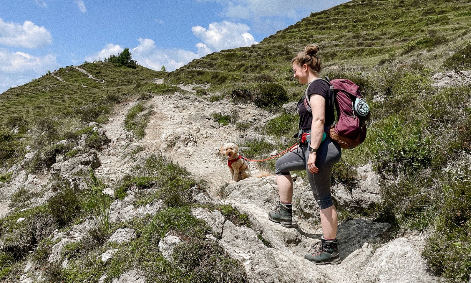 Wandern mit Hund Vom Hintersteiner See zur Kafma Alm
