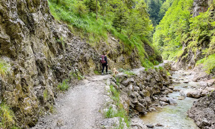 Wandern am Grießbachklamm mit Hund