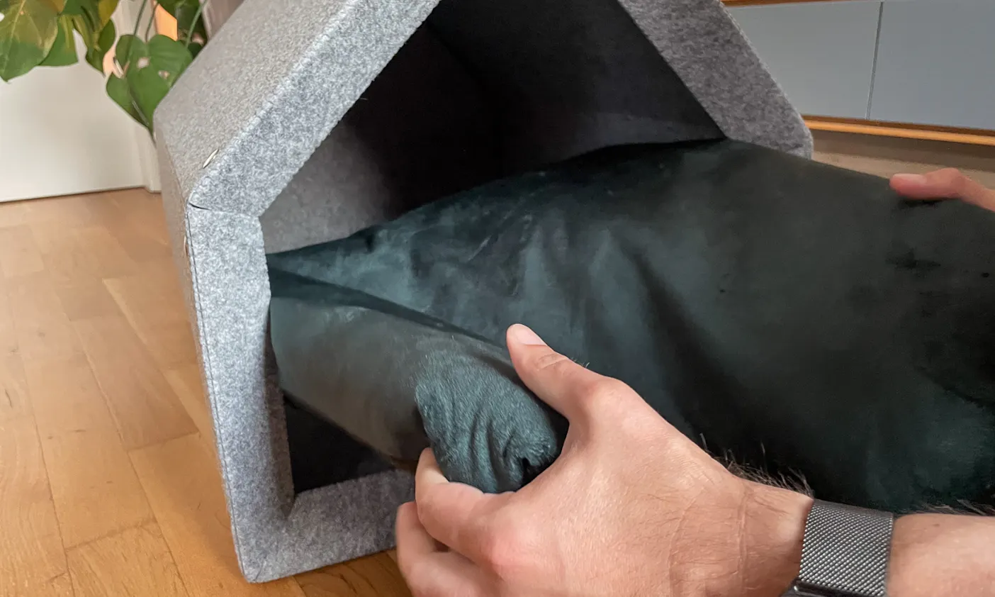 Aufbau von der Hundehütte Pet Home