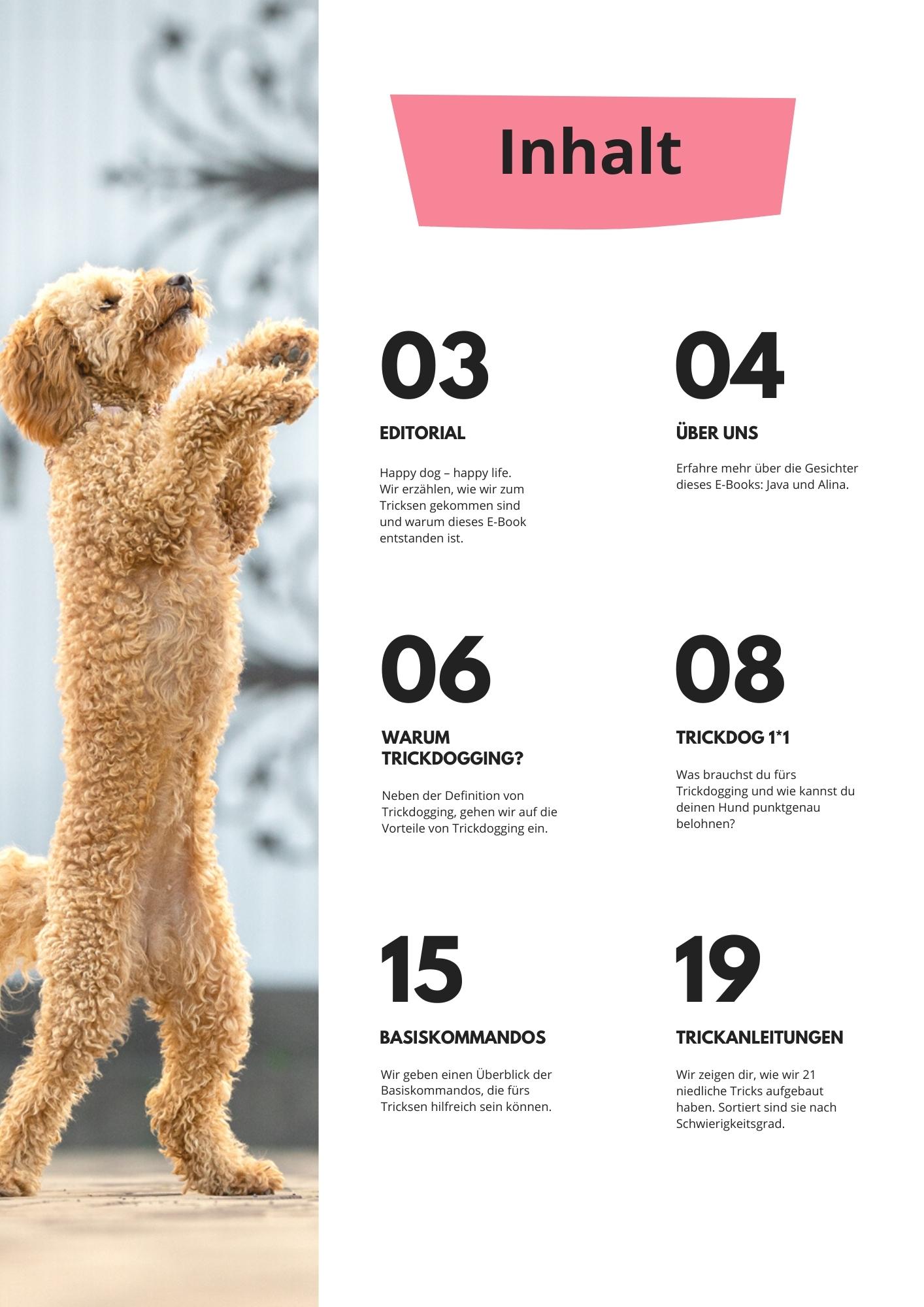 E-Book 21 niedliche Hundetricks - Inhalt