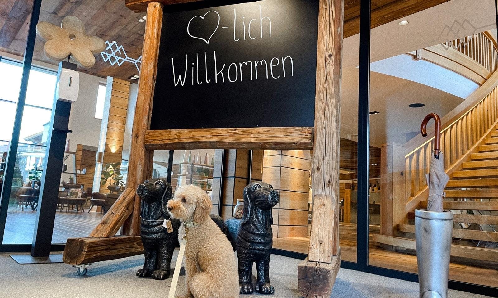 Kaiserlodge mit Hund: Hundefreundliches Hotel in Tirol am Wilden Kaiser in Scheffau