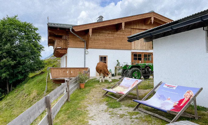 Kuh auf der Huberalm in Tirol