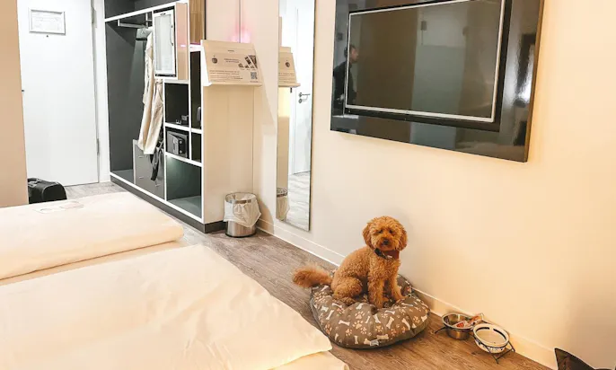 Innside Melia mit Hund in Aachen