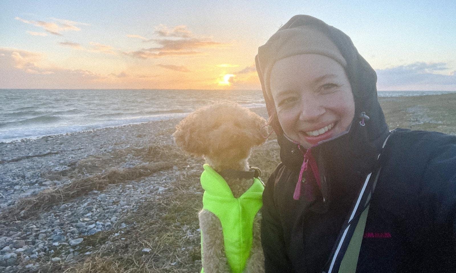 Sonnenuntergang mit Hund auf Fünen in Dänemark