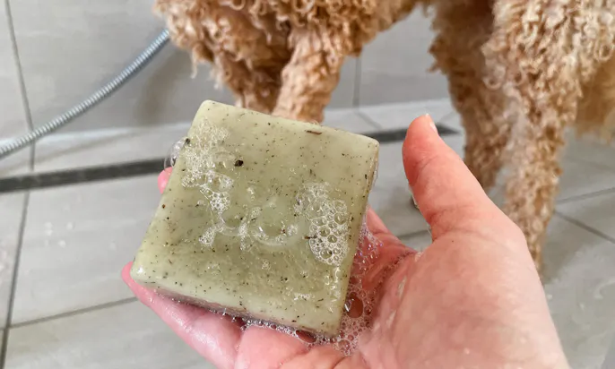 Feste Hundeseife für Goldendoodle von Willi Wiggle