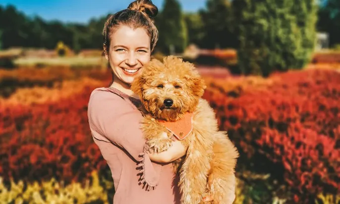 Lüneburger Heide mit Hund