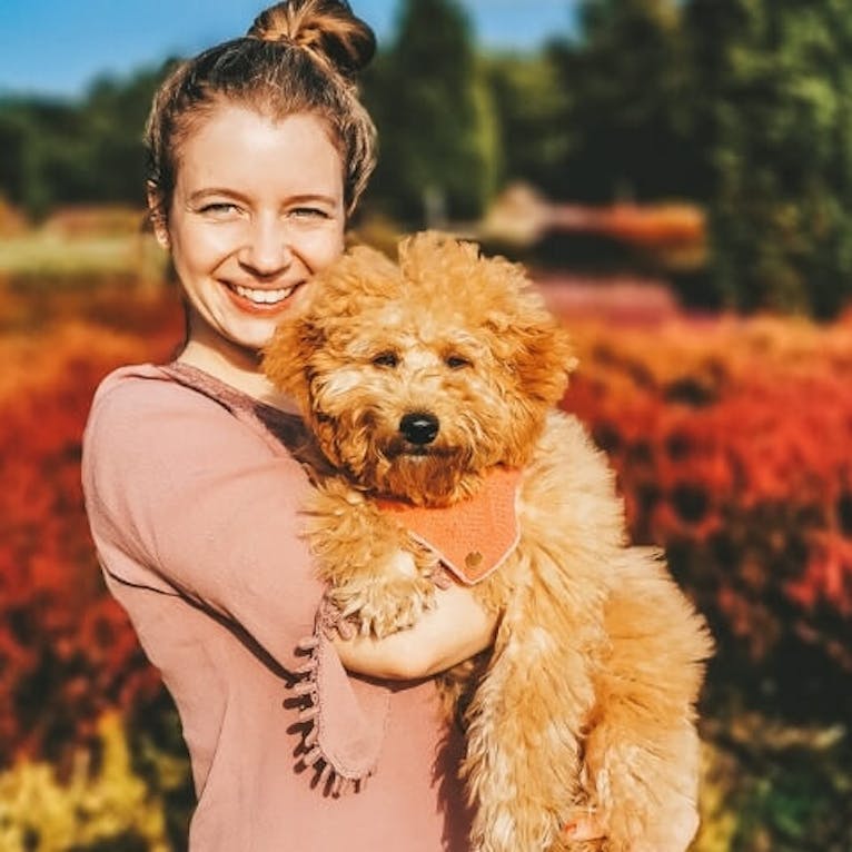 Lüneburger Heide mit Hund