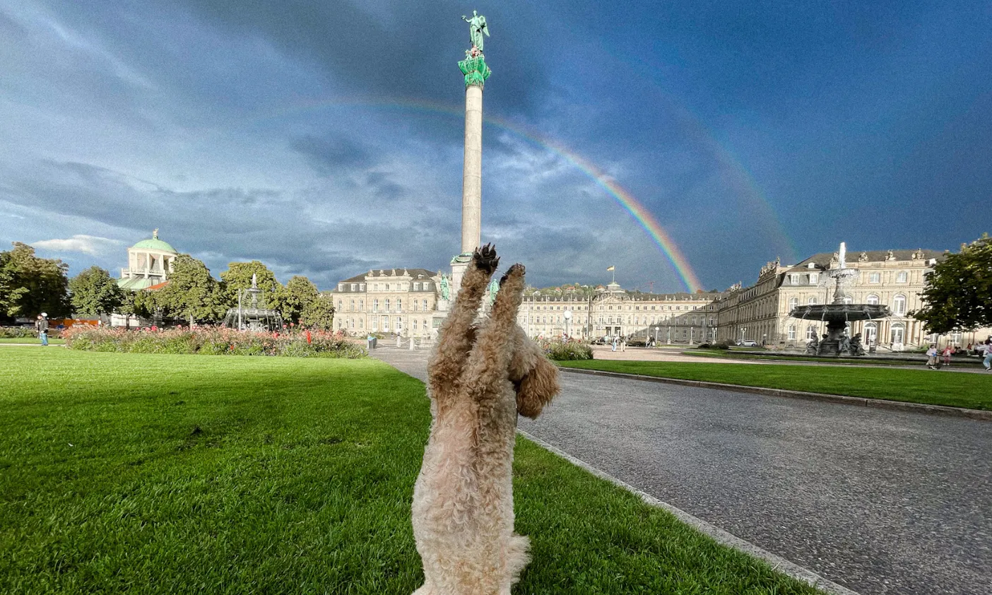 Schlossplatz mit Hund und Regenbögen