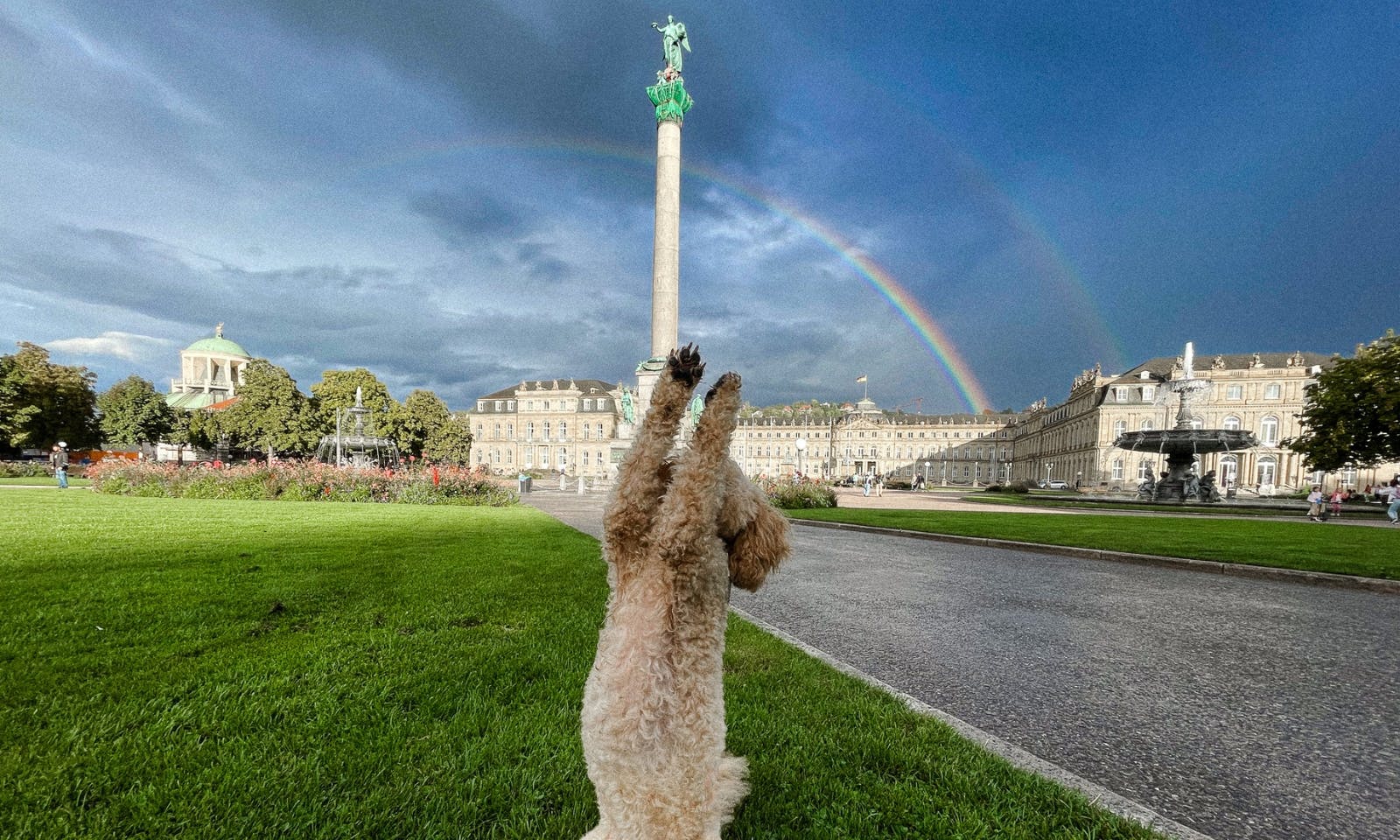 Schlossplatz mit Hund und Regenbögen
