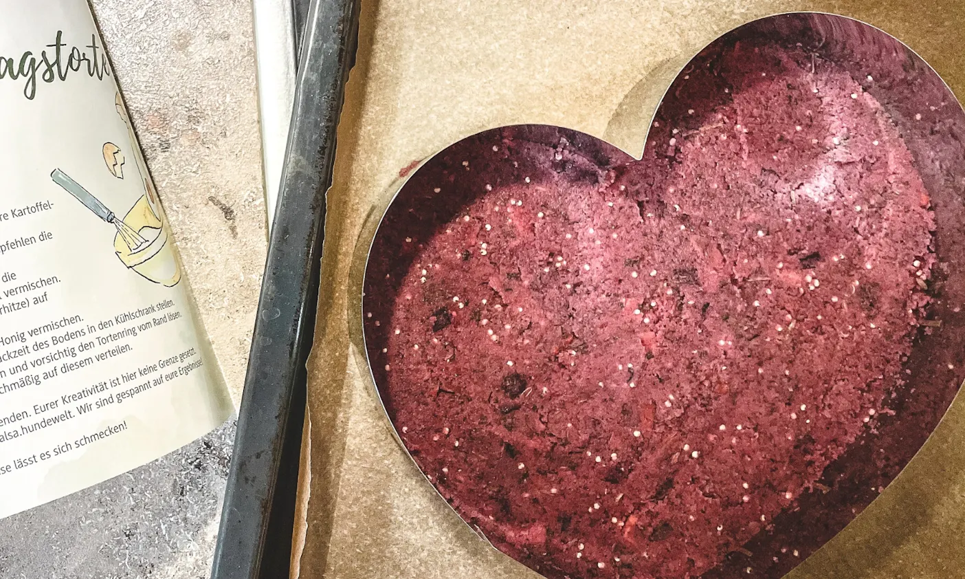 Hundetorte backen ohne Getreide