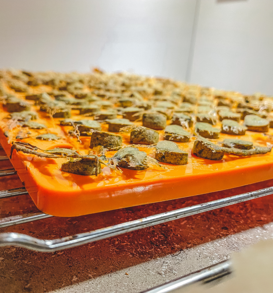 Backmatte für Hundekekse kaufen