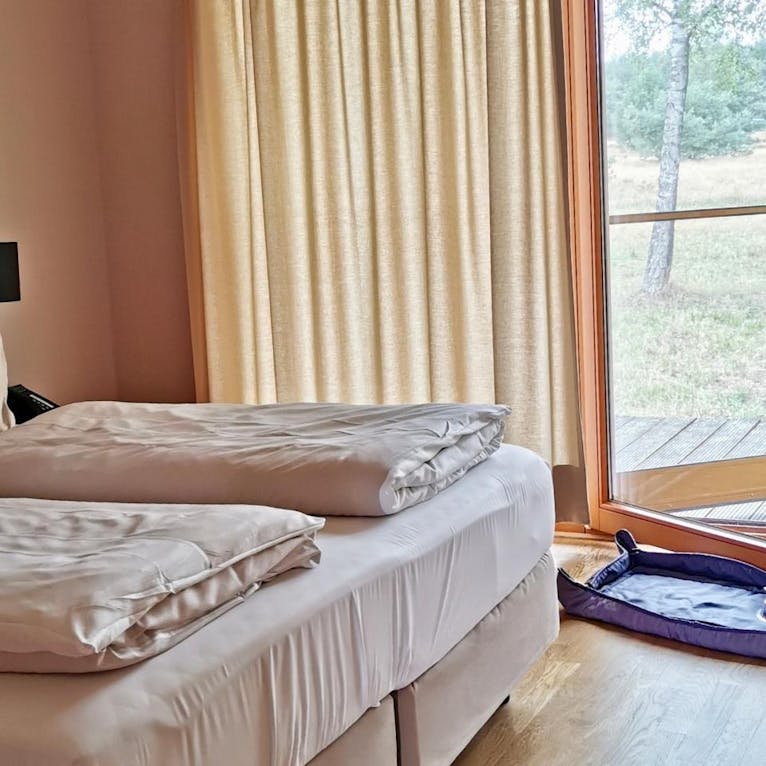 Hotelcamp Reinsehlen mit Hund