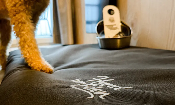 Hund steht auf einem Hundekörbchen mit dem Hund von Eden Logo