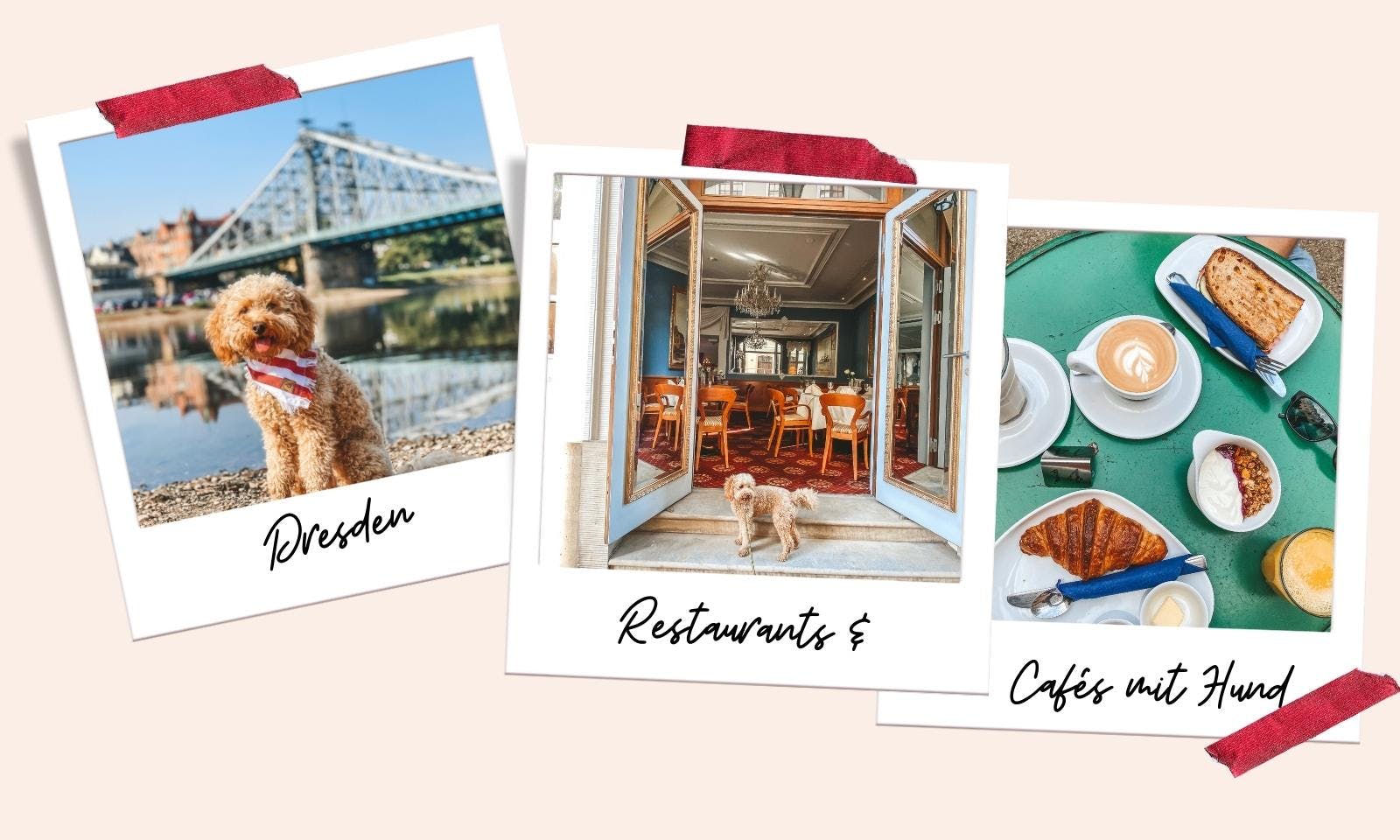 Hundefreundliche Restaurants und Cafés in Dresden
