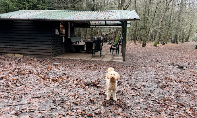 Hundeauslaufgehege Christianslust