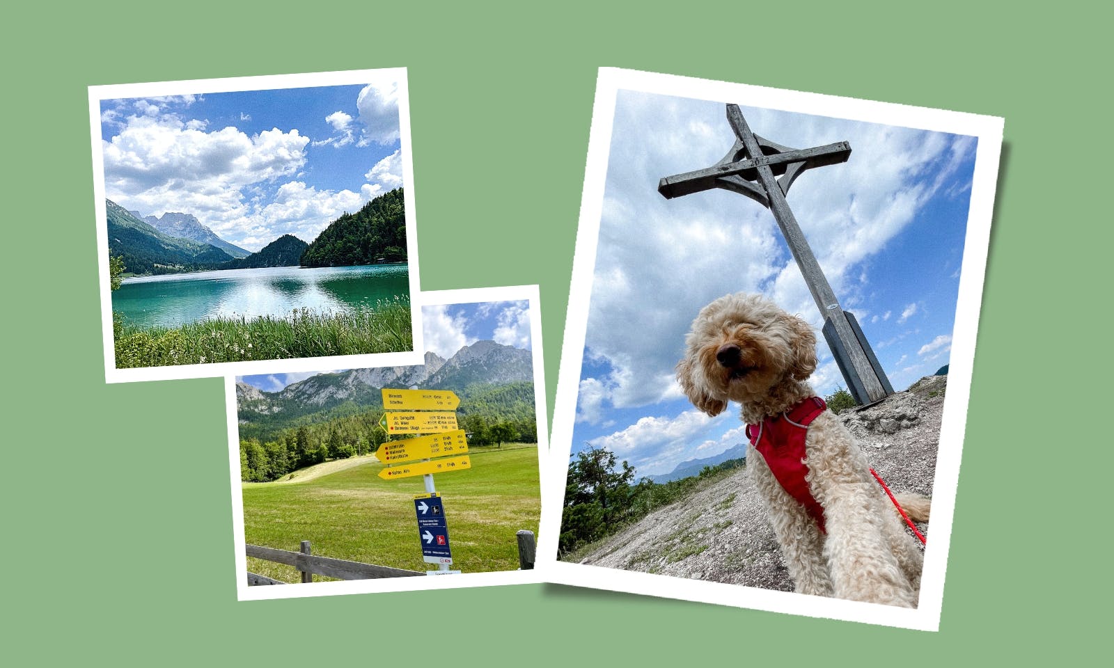 Wandern mit dem Hund am Wilden Kaiser: Vom Hintersteiner See zur Kafma Alm