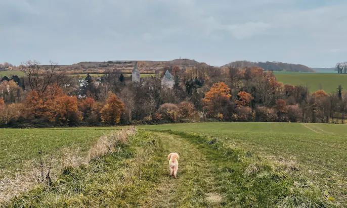 Bergischer Weg mit Hund