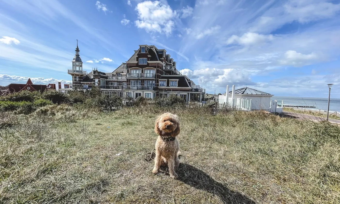 Badpaviljoen Domburg