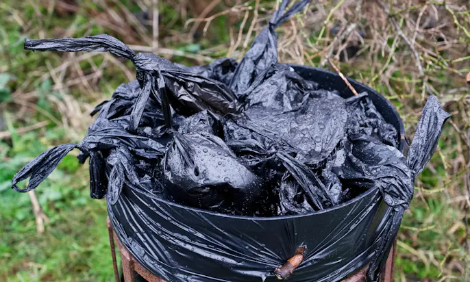 falsche Entsorgung von Kotbeuteln in der Natur