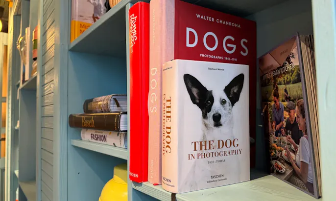 Hundefreundliches Restaurant in Büsum: Restaurant The Cove