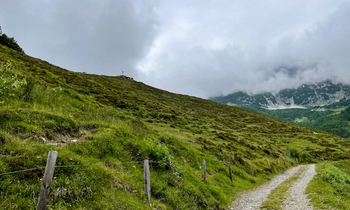 Wandern am Rehbachklamm mit Hund