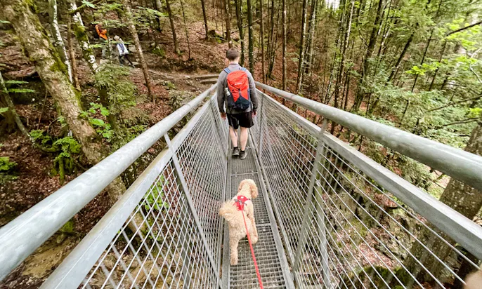 Mit Hund am Wilden Kaiser zur Kaiseralm in Tirol wandern