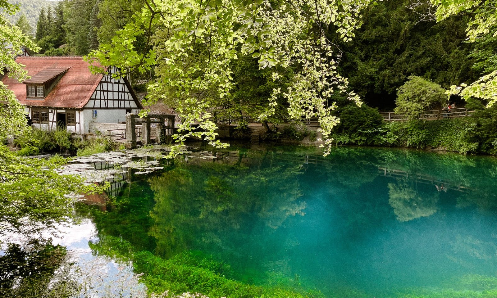 Naturerlebnis Blautopf