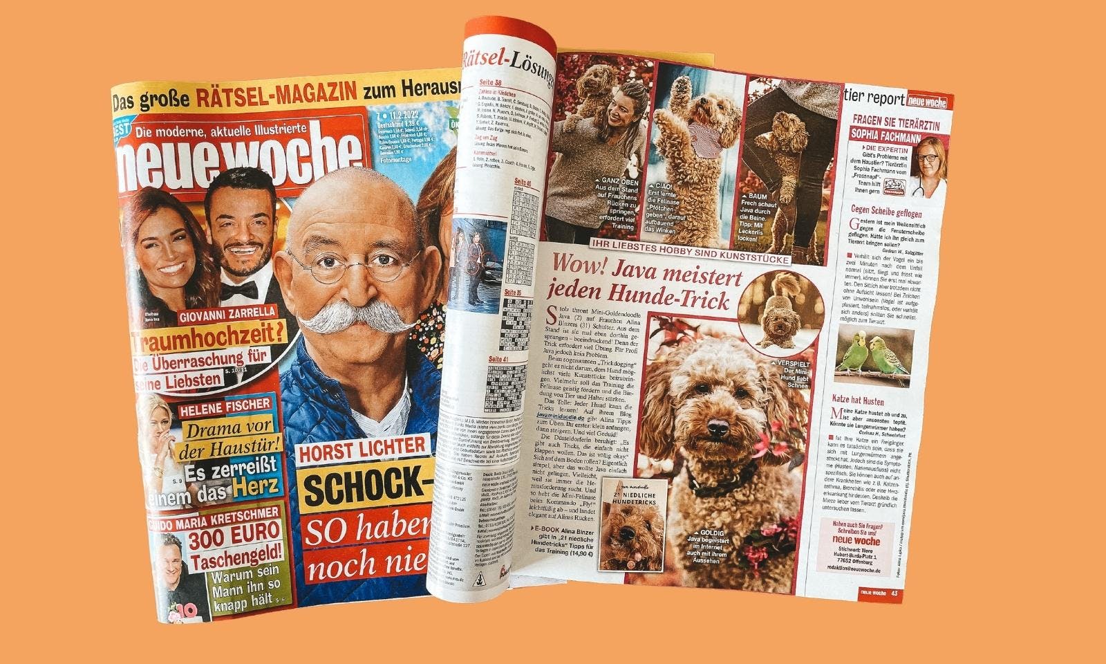 Pudelmischling Java als Trickdog-Profi in der Zeitung Neue Woche