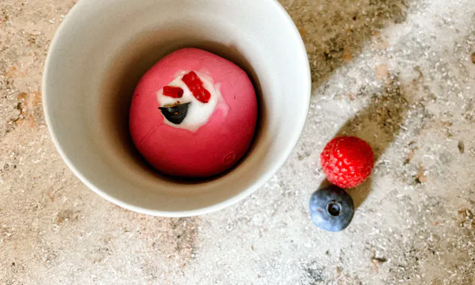 Fruchtig & vegetarisch: Frozen Joghurt für deinen Hund