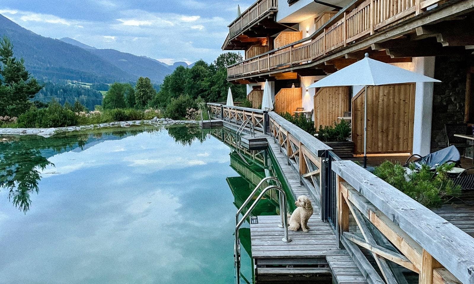 Hundefreundliche Hotels in Tirol
