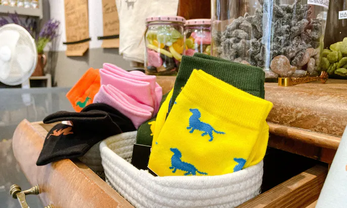 Dackelsocken