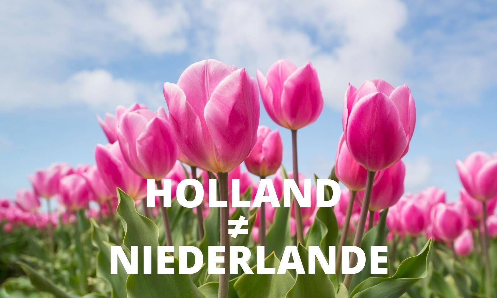 Holland ist nicht gleich Niederlande