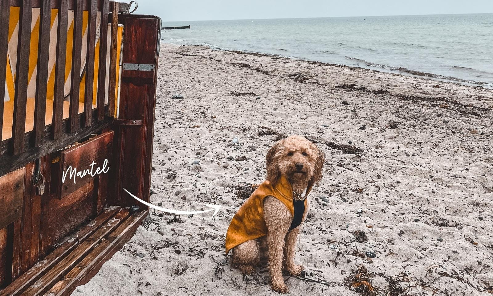 Regenmantel für Hunde gehört zu unserer Packliste für Tagestouren