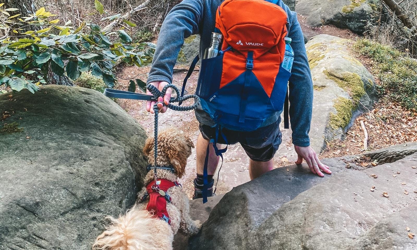 Welches Hundegeschirr zum Wandern?