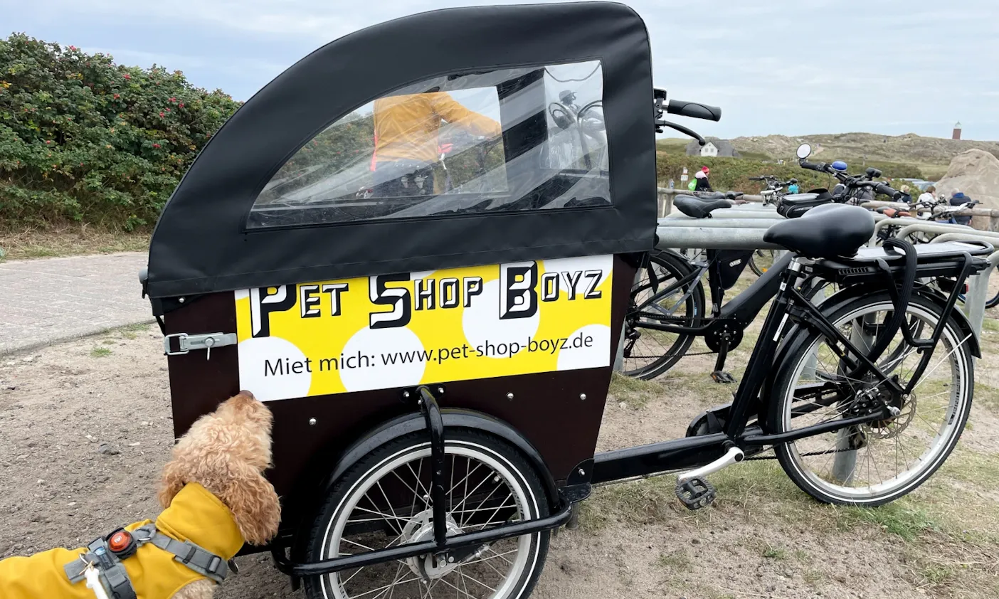 Babboe E-Dog mieten auf Sylt