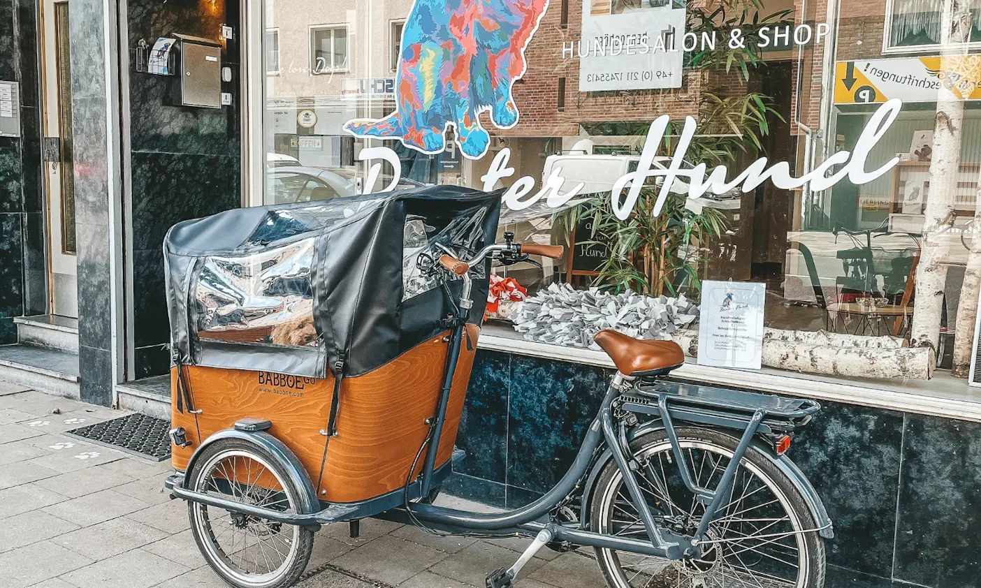 Babboe E-Go mit Hund in der Stadt