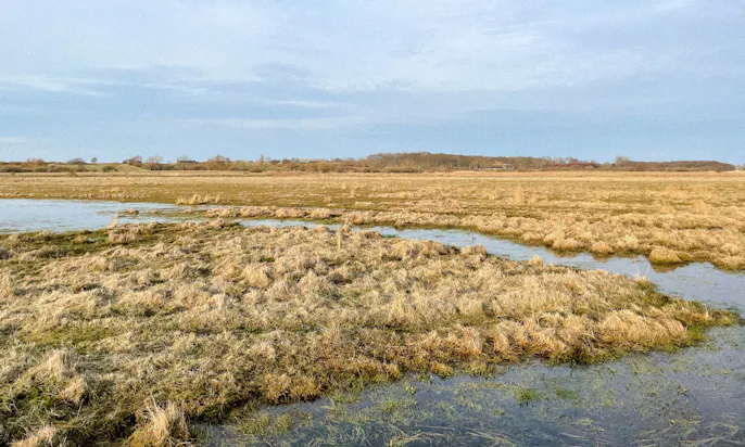 Helenas in Dänemark